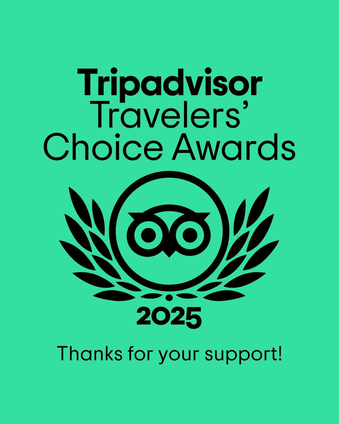 TripAdvisor